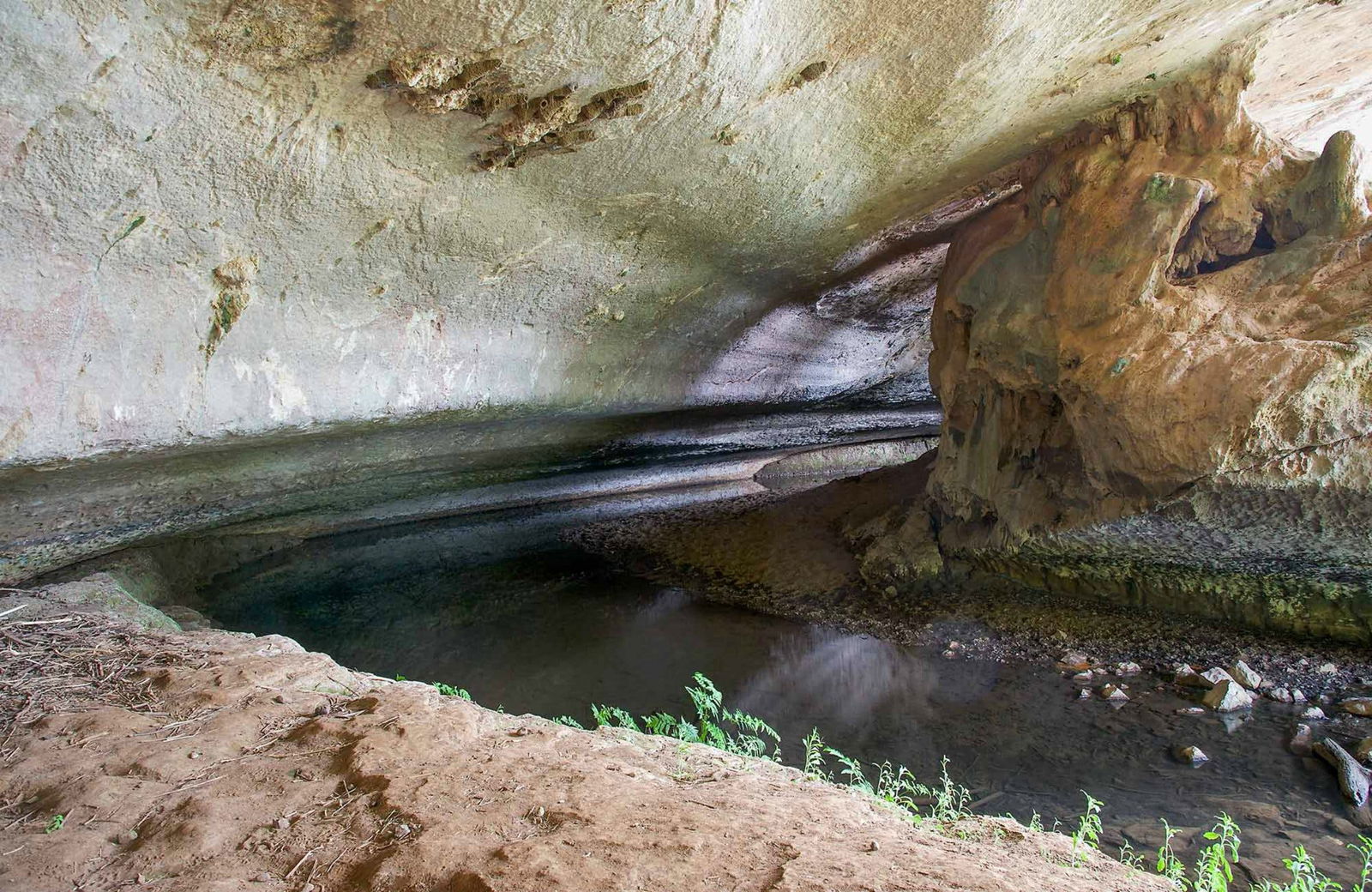 Panuara NSW Gold Coast Attractions