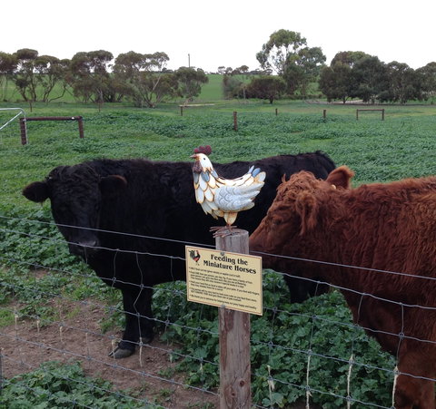 Weetulta - Gold Coast Attractions 1