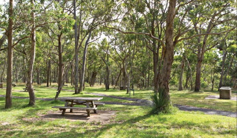 Wollomombi Gorge And Falls Picnic Area - Gold Coast Attractions 0