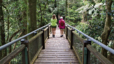 Wonga Walk - Gold Coast Attractions 0