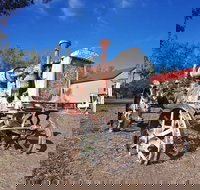 Wowan - Gold Coast Attractions