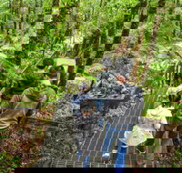 Yarra Ranges National Park