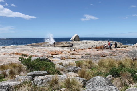 Bicheno Blowhole - Gold Coast Attractions 1