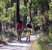 Forest Path Crooked Brook - Gold Coast Attractions