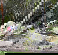 Maroochy Regional Bushland Botanic Garden - Gold Coast Attractions