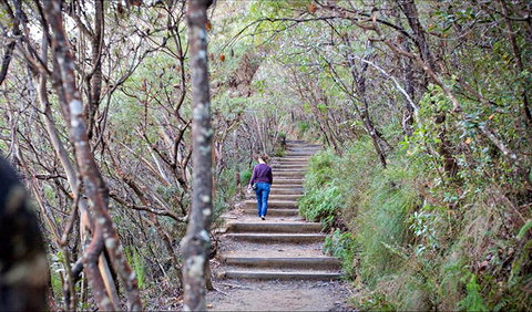 Princes Rock Walking Track - Gold Coast Attractions 0