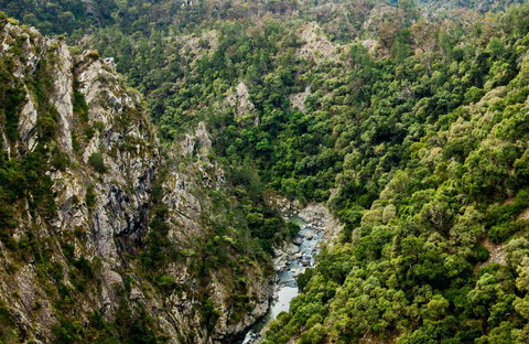 Tiara Walking Track - Gold Coast Attractions 0