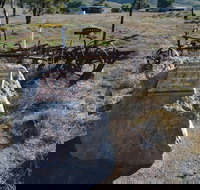 Wangaraleednie Monument  Ruins - Gold Coast Attractions
