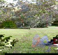 Waterfall Flat Picnic Area - Gold Coast Attractions