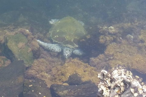 Sawtell To Coffs Harbour Bike Ride - Gold Coast Attractions 4