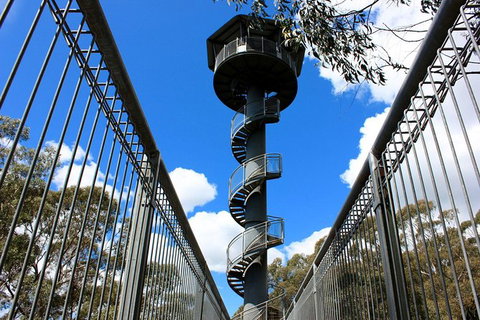 Illawarra Fly Treetop Adventures Admission Including Zipline Tour - Gold Coast Attractions 3