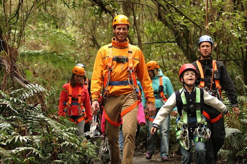 Illawarra Fly Treetop Adventures Admission Including Zipline Tour - Gold Coast Attractions 1