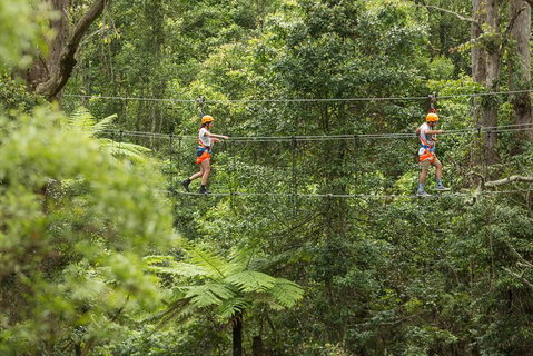 Illawarra Fly Treetop Adventures Admission Including Zipline Tour - Gold Coast Attractions 0