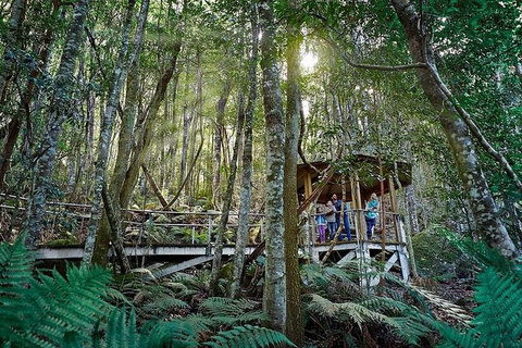 All-Inclusive Blue Mountains Tour In A Luxury Mercedes Sprinter - Gold Coast Attractions 6