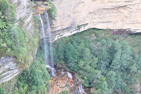 All-Inclusive Blue Mountains Tour In A Luxury Mercedes Sprinter - Gold Coast Attractions 9