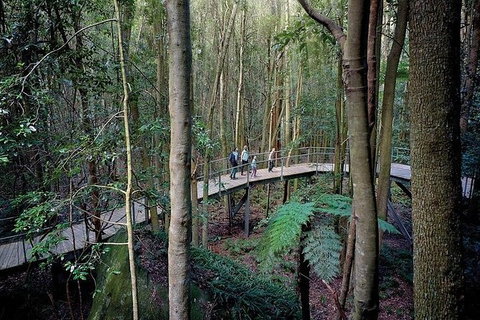 All-Inclusive Blue Mountains Tour In A Luxury Mercedes Sprinter - Gold Coast Attractions 13
