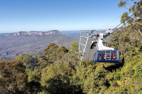 All-Inclusive Blue Mountains Tour In A Luxury Mercedes Sprinter - Gold Coast Attractions 11