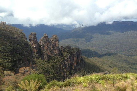 All-Inclusive Blue Mountains Tour In A Luxury Mercedes Sprinter - Gold Coast Attractions 3