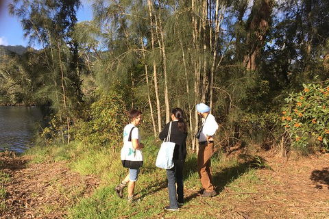 Fishermans Paradise Eco-walk - Gold Coast Attractions 1