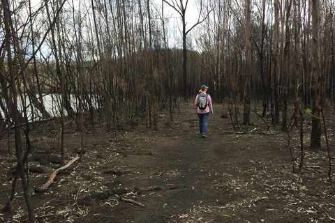 Fishermans Paradise Eco-walk - Gold Coast Attractions 5