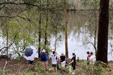 Fishermans Paradise Eco-walk - Gold Coast Attractions 2