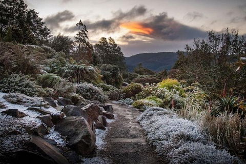 Blue Mountains Botanic Garden And Bilpin Tour From Katoomba With Cider Tasting - Gold Coast Attractions 2
