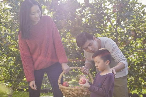 Blue Mountains Botanic Garden And Bilpin Tour From Katoomba With Cider Tasting - Gold Coast Attractions 1