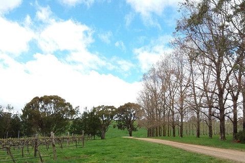 All-inclusive Morning Wine Tour In Orange - Gold Coast Attractions 8