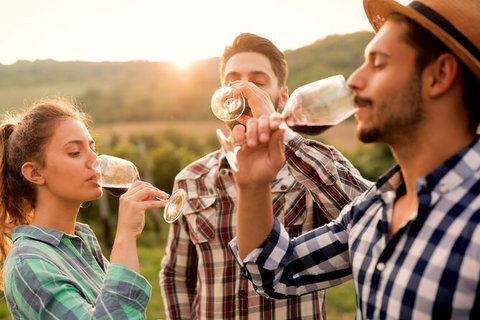 All-inclusive Morning Wine Tour In Orange - Gold Coast Attractions 0
