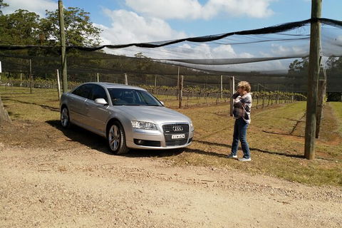 The Secret Vines Experience Port Macquarie - Gold Coast Attractions 0