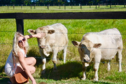 Hipster Sipster Brewery & Distillery Tour - Northern NSW - Gold Coast Attractions 8