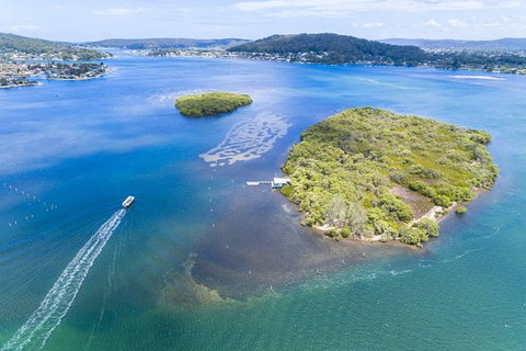 Australian Pearl Experience & Kangaroo Encounter Day Trip From Sydney - Gold Coast Attractions 5