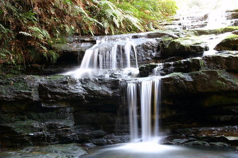 Private 10-hour Tour To Blue Mountains From Sydney - Hotel Pick Up & Drop Off - Gold Coast Attractions 6