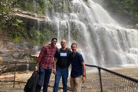 Blue Mountains Highlights & Wildlife Park - Gold Coast Attractions 4