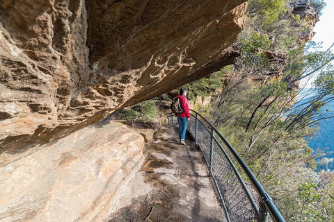 Blue Mountains Highlights & Wildlife Park - Gold Coast Attractions 0