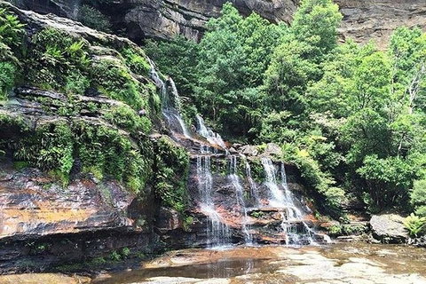 Blue Mountains Highlights & Wildlife Park - Gold Coast Attractions 8