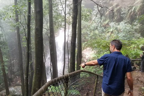 Blue Mountains Highlights, Wildlife Park And Scenic World Full Day Private Tour - Gold Coast Attractions 6