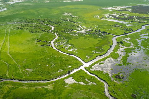 60 Minute Scenic Flight From Cooinda - Gold Coast Attractions 0