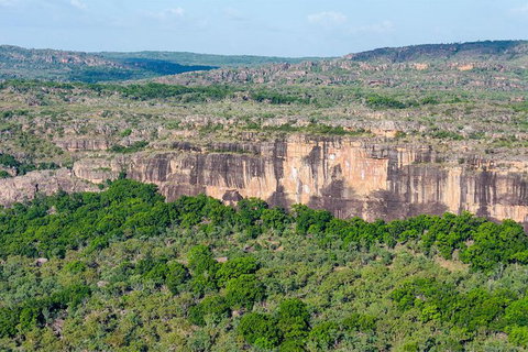 60 Minute Scenic Flight From Cooinda - Gold Coast Attractions 1