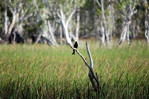 ETHICAL ADVENTURES - Dry Season Litchfield Region, Max 10 Guests - Gold Coast Attractions 2