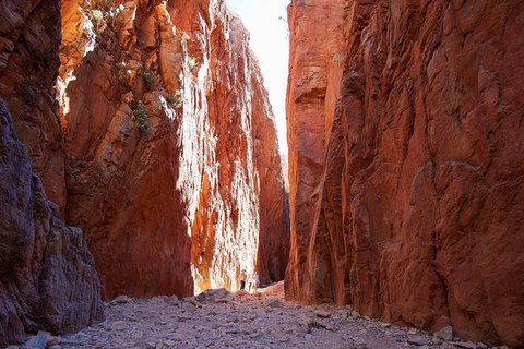 Best Of Alice Springs Full Day Tour - Gold Coast Attractions 6