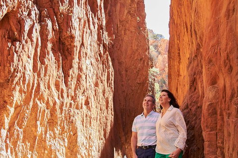 Best Of Alice Springs Full Day Tour - Gold Coast Attractions 4