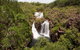 5 Day Kakadu National Park And Arnhem Land Tour - thumb 1