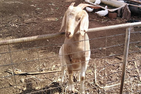 Full-Day Private Guided Tour To Litchfield National Park - Gold Coast Attractions 10