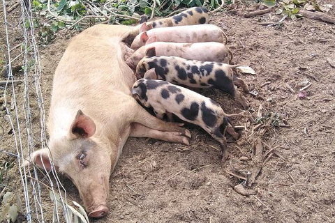 Full-Day Private Guided Tour To Litchfield National Park - Gold Coast Attractions 2