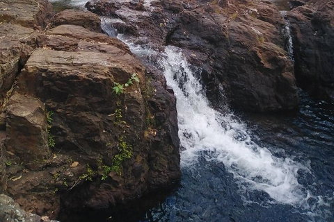 Full-Day Private Guided Tour To Litchfield National Park - Gold Coast Attractions 8