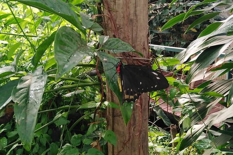 Full-Day Private Guided Tour To Litchfield National Park - Gold Coast Attractions 1