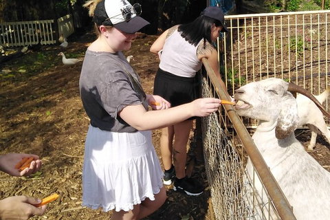 Full-Day Private Guided Tour To Litchfield National Park - Gold Coast Attractions 4