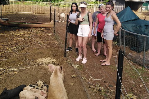 Full-Day Private Guided Tour To Litchfield National Park - Gold Coast Attractions 13