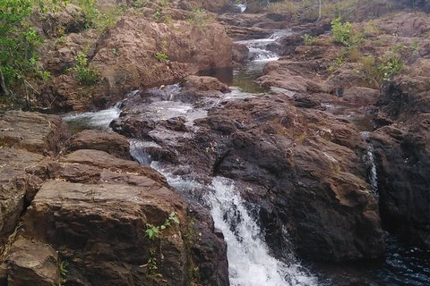 Full-Day Private Guided Tour To Litchfield National Park - Gold Coast Attractions 15